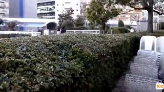 家庭教师波多野结衣一区二区⭕❌欧美精品A片XXX⭕❌欧美性猛交XXXX乱大交极品-无码av电影在线观看不卡